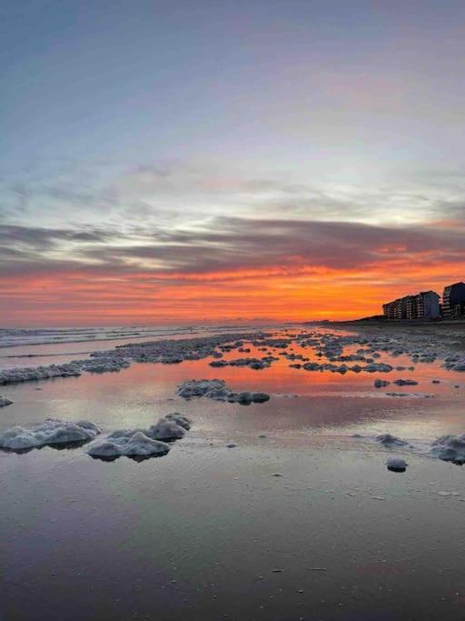 Face A La Mer, Appartement Rdc Bray Dunes エクステリア 写真