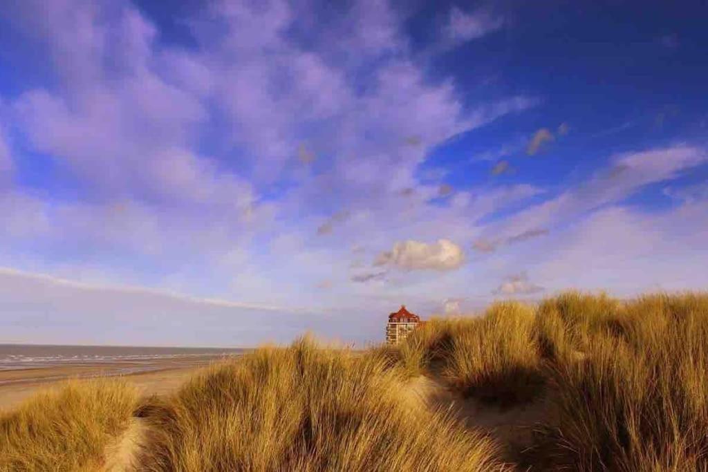 Face A La Mer, Appartement Rdc Bray Dunes エクステリア 写真