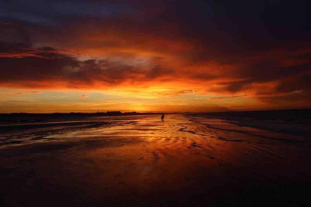 Face A La Mer, Appartement Rdc Bray Dunes エクステリア 写真