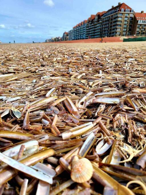Face A La Mer, Appartement Rdc Bray Dunes エクステリア 写真