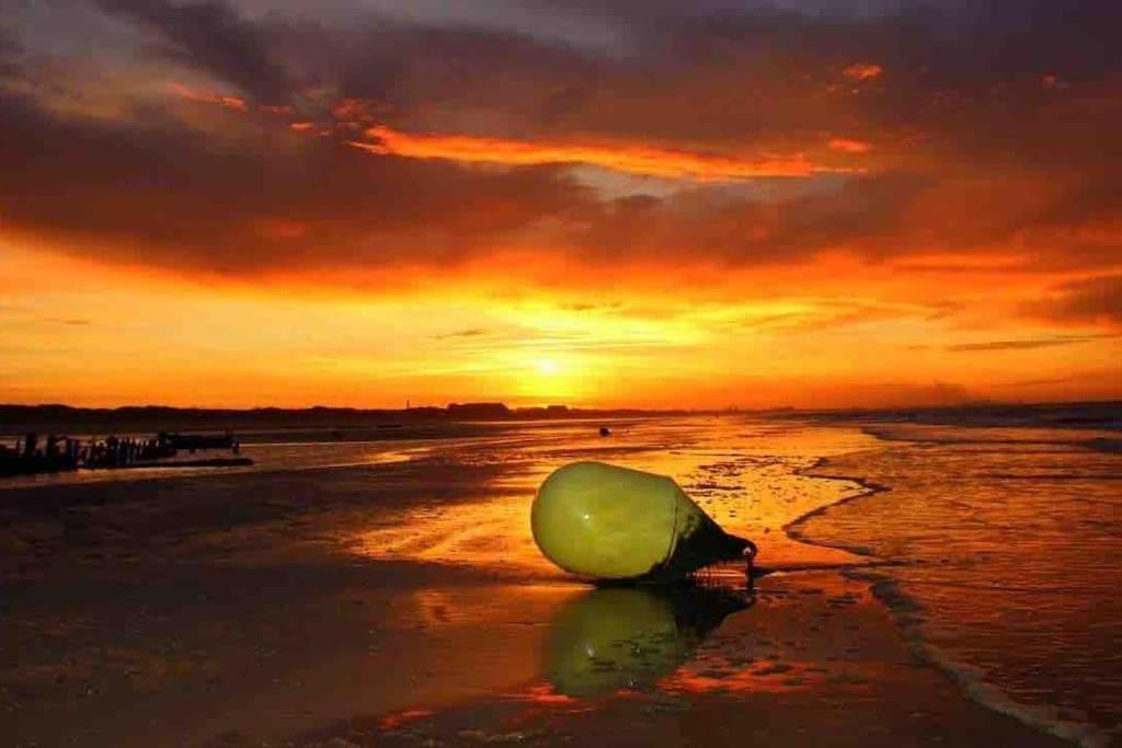 Face A La Mer, Appartement Rdc Bray Dunes エクステリア 写真